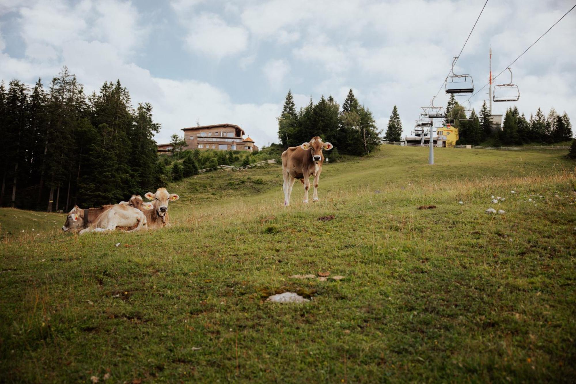 Chalet G12 - Mountain Luxury Apartments Зеефельд в Тироле Экстерьер фото